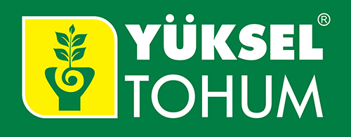 yuksel-tohum