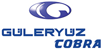 guleryuz